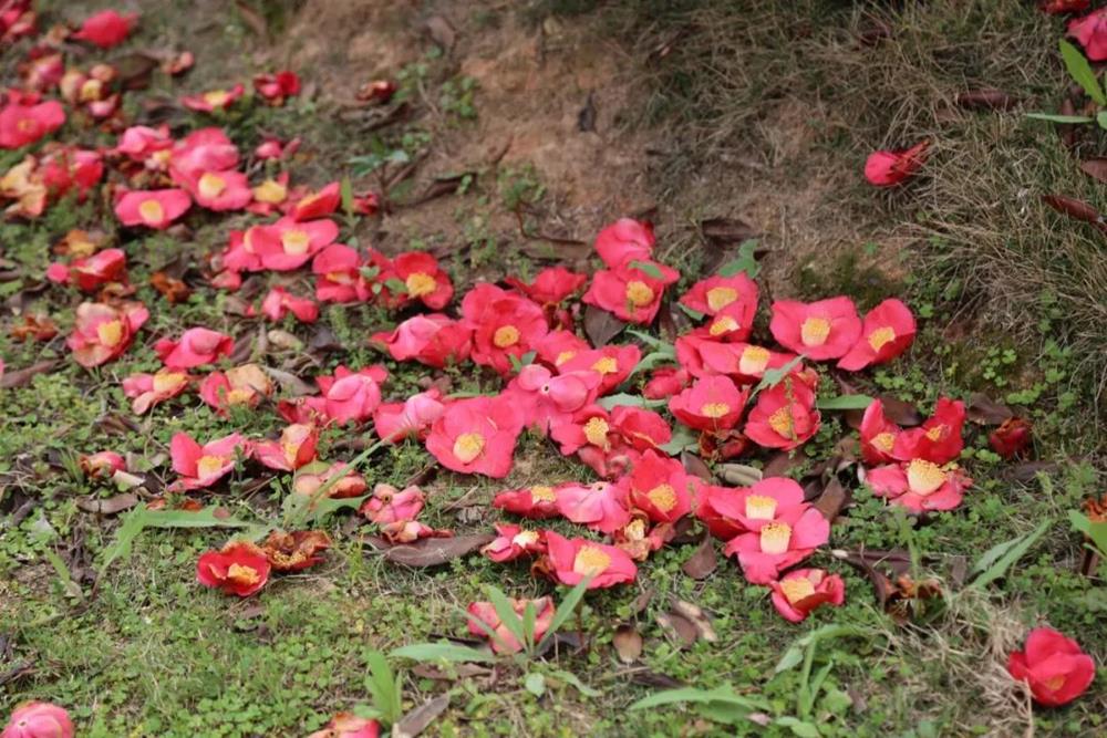 04018c472aad412ca650cd6547f78158.jpg 04018c472aad412ca650cd6547f78158.jpg