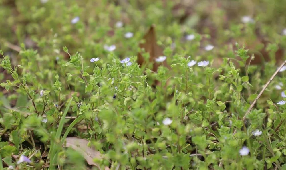 0a979c8298bd4d4ebac70e0d51173297.jpg 0a979c8298bd4d4ebac70e0d51173297.jpg