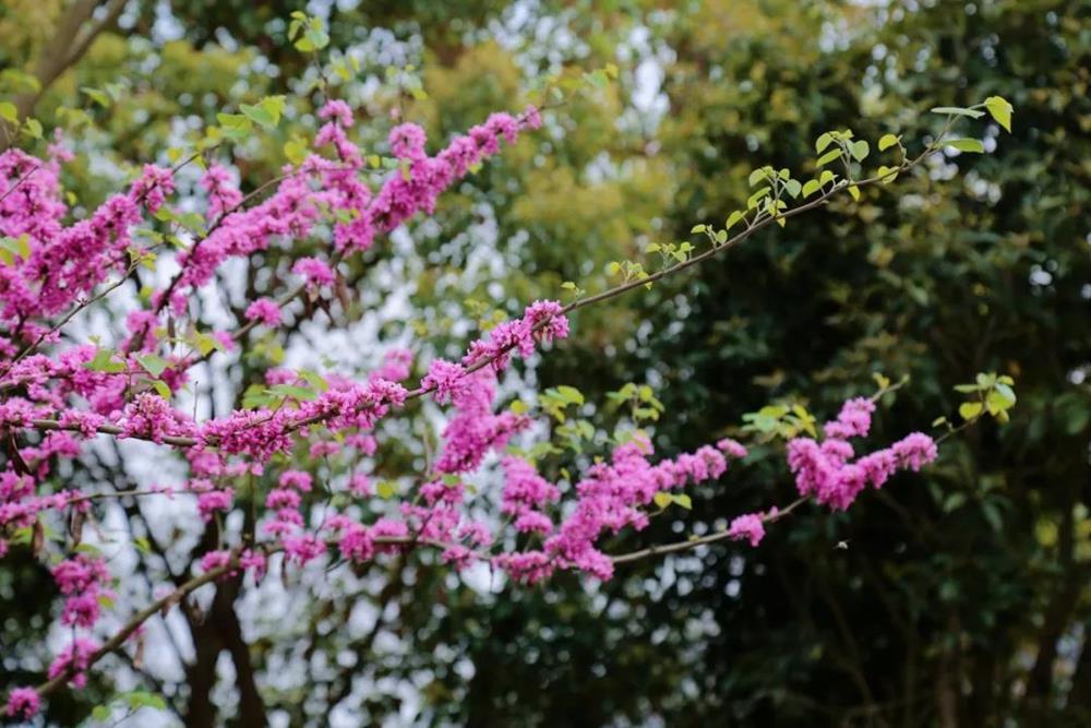 1f431dc4f03349e6ad4f109474eed7b9.jpg 1f431dc4f03349e6ad4f109474eed7b9.jpg