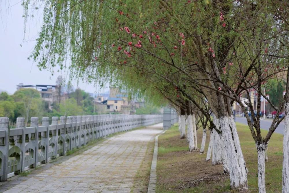 8ca897661fc6441abfa9ccbf98a5d66c.jpg 8ca897661fc6441abfa9ccbf98a5d66c.jpg