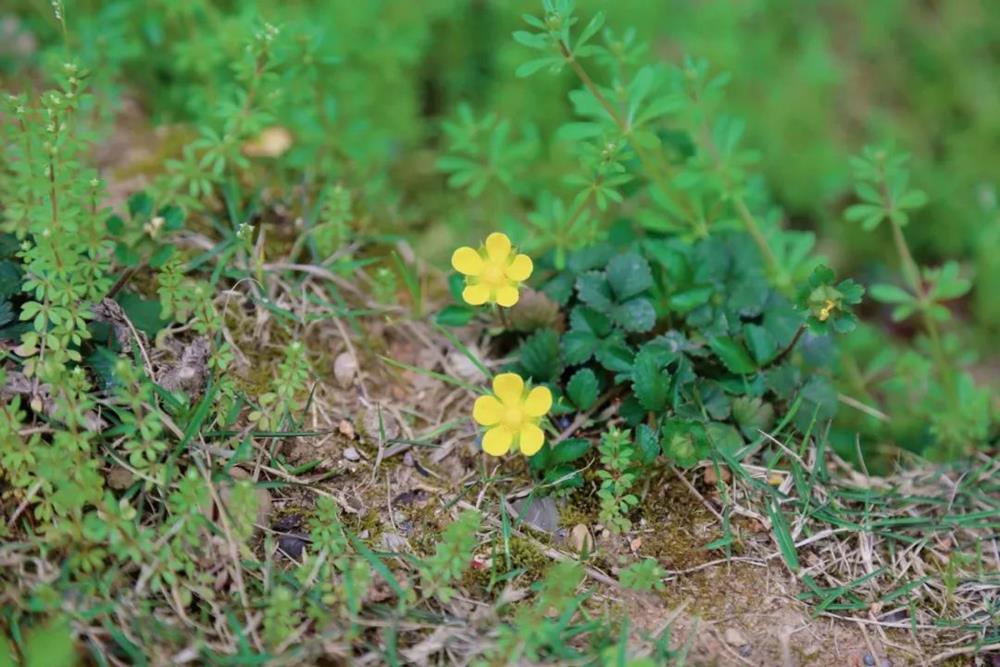 8e523de76b354e9e8d38162594397825.jpg 8e523de76b354e9e8d38162594397825.jpg