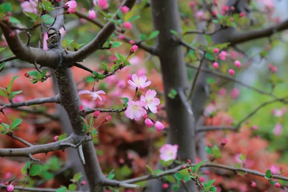 9cbb0cf6e91748b08e7fb30dac4a37b4.jpg 9cbb0cf6e91748b08e7fb30dac4a37b4.jpg