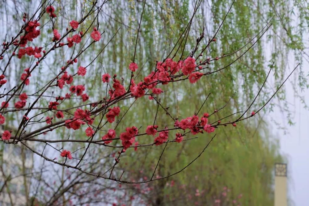 b31d49ef60ee458d96e03e1b0e45ca96.jpg b31d49ef60ee458d96e03e1b0e45ca96.jpg