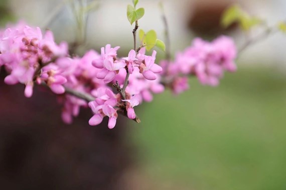 幼专人文 | 人随春好 春与人宜 四月来啦~